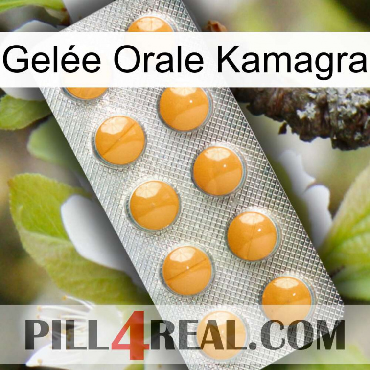 Gelée Orale Kamagra levitra1